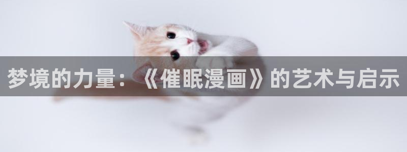 羞羞漫画免费阅读看漫画下拉：梦境的力量：《催眠漫画》的艺术与启示