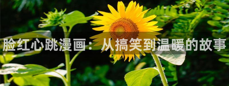 羞羞漫画网页版：脸红心跳漫画：从搞笑到温暖的故事