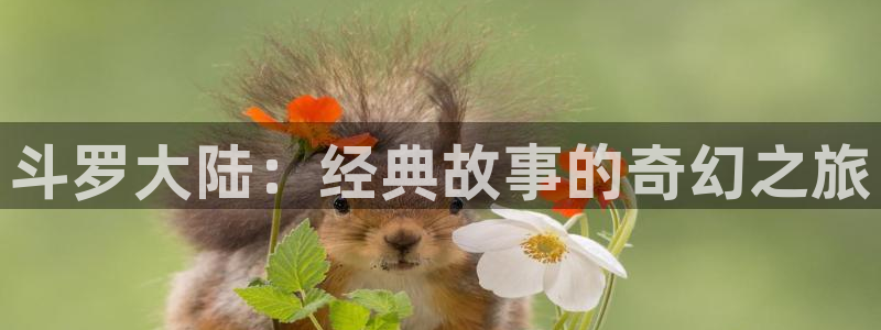 羞羞漫画免费看窗口：斗罗大陆：经典故事的奇幻之旅